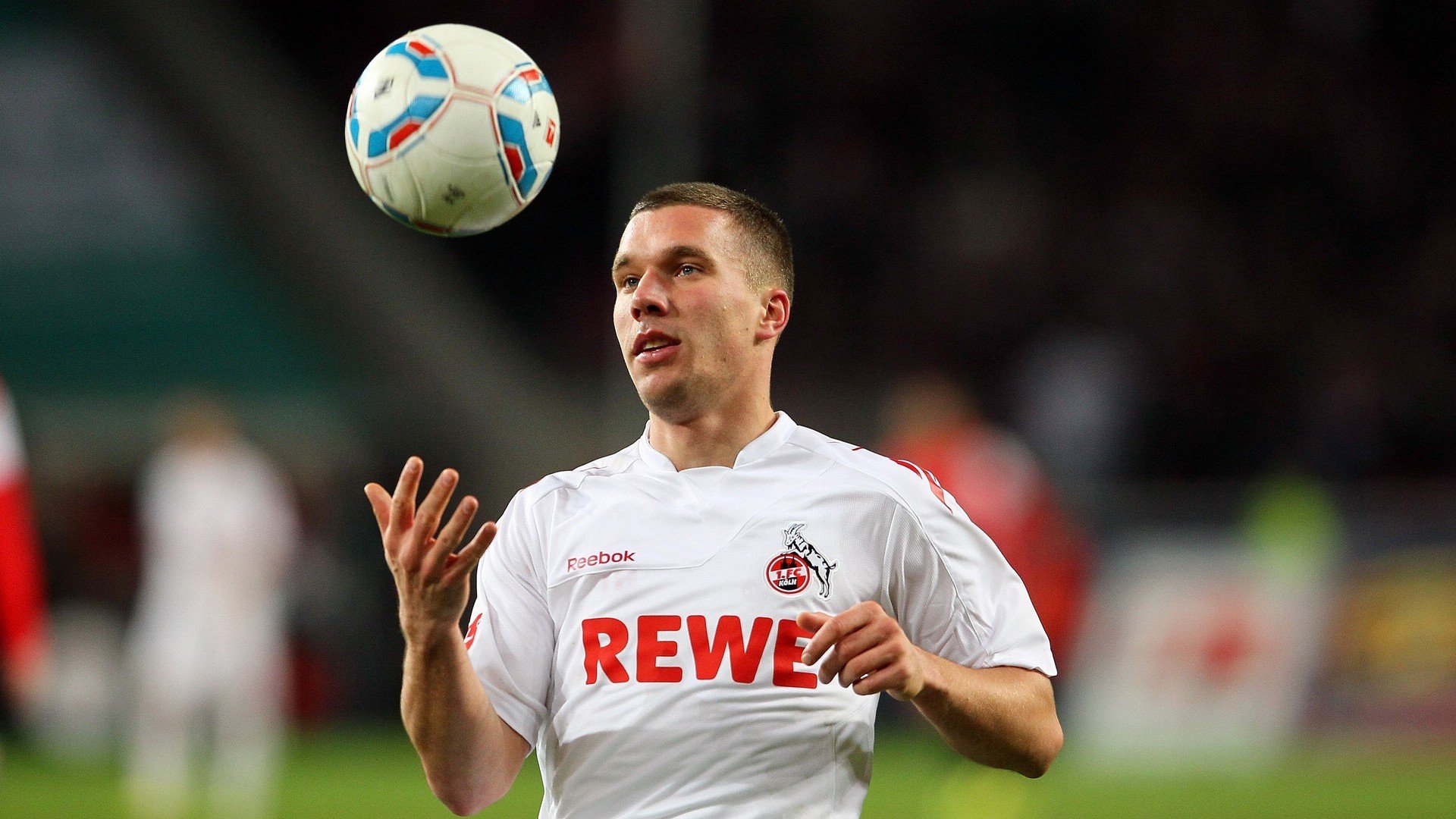 “彼得森再度证明自己，成为南非队的未来之星”