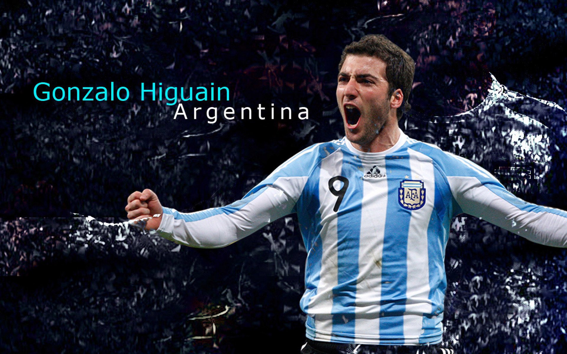 爱尔兰政府出台橄榄球支持政策，爱尔兰橄榄球队