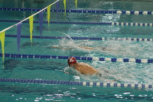 Kaiyun(中国)开云-自由泳预赛突尼斯多人晋级，自由泳2021